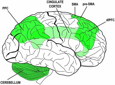 The Agent Brain: A Review of Non-invasive Brain Stimulation Studies on Sensing Agency